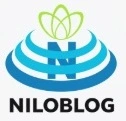 https://negin-tabkh.com